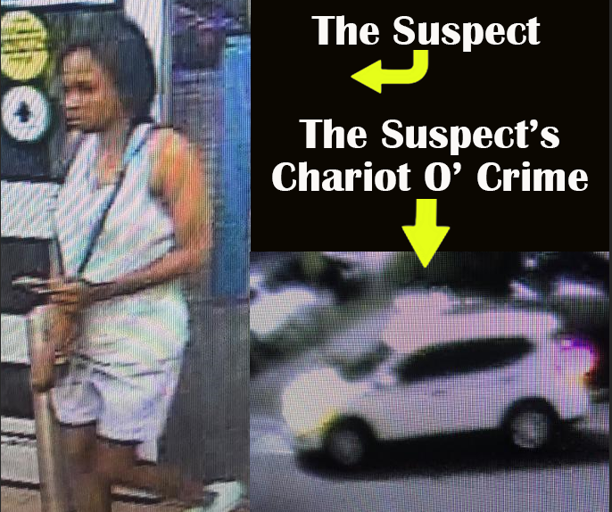 Suspect and suspect's vehicle