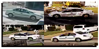 Lake Mariana Acres suspect car